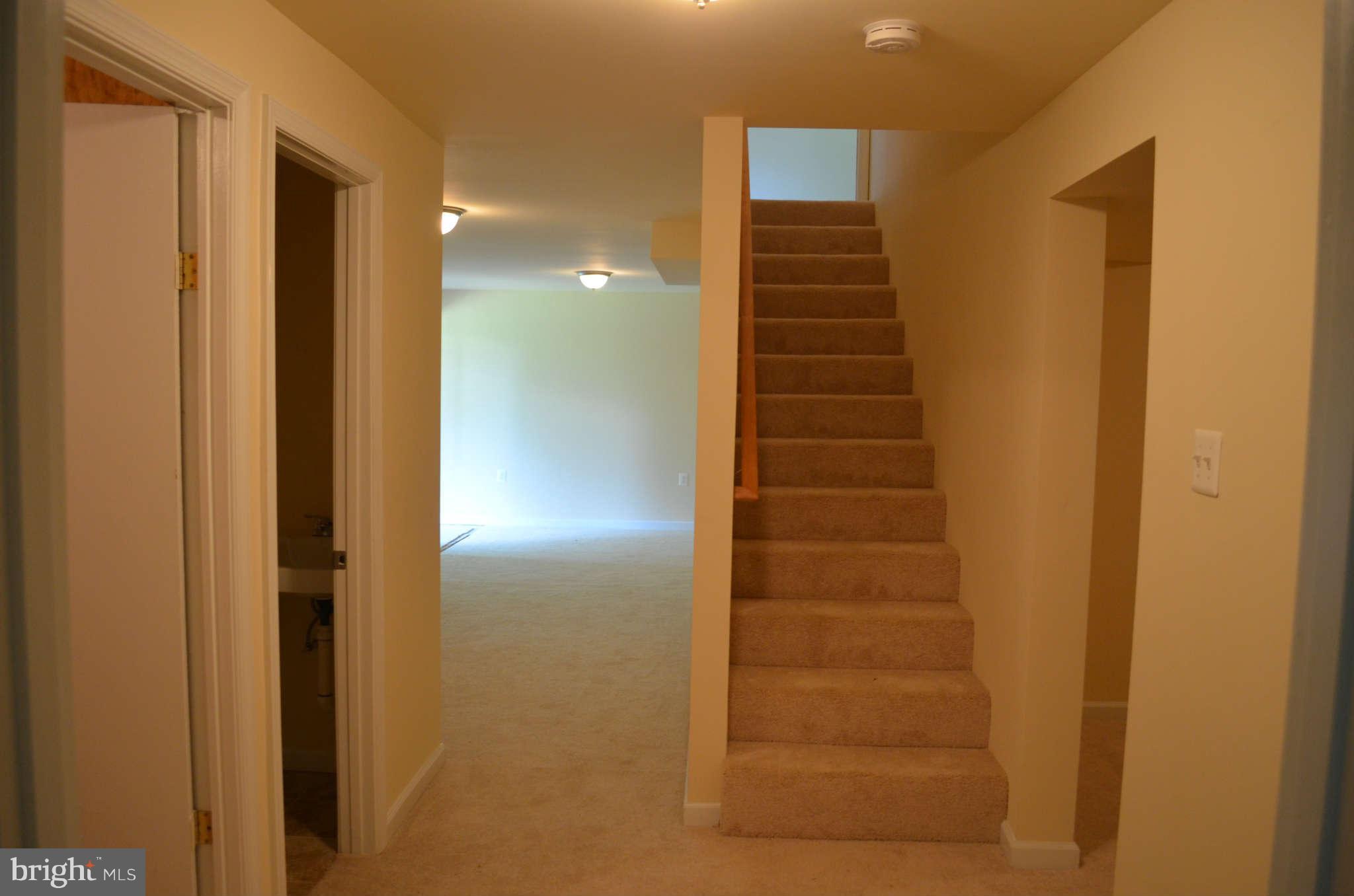 1252 High Top Road Linden, VA 22642 - Photo 12 of 17 Basement