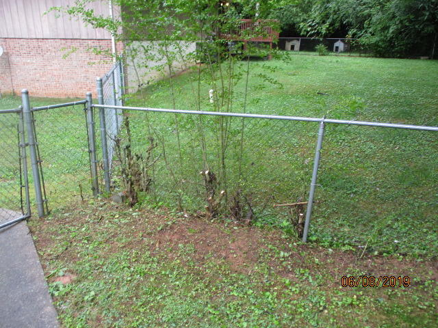 7704 Nautical Way Chattanooga, TN 37416 - Photo 8 of 26 7704 Nautical Way After 06-08-19_020