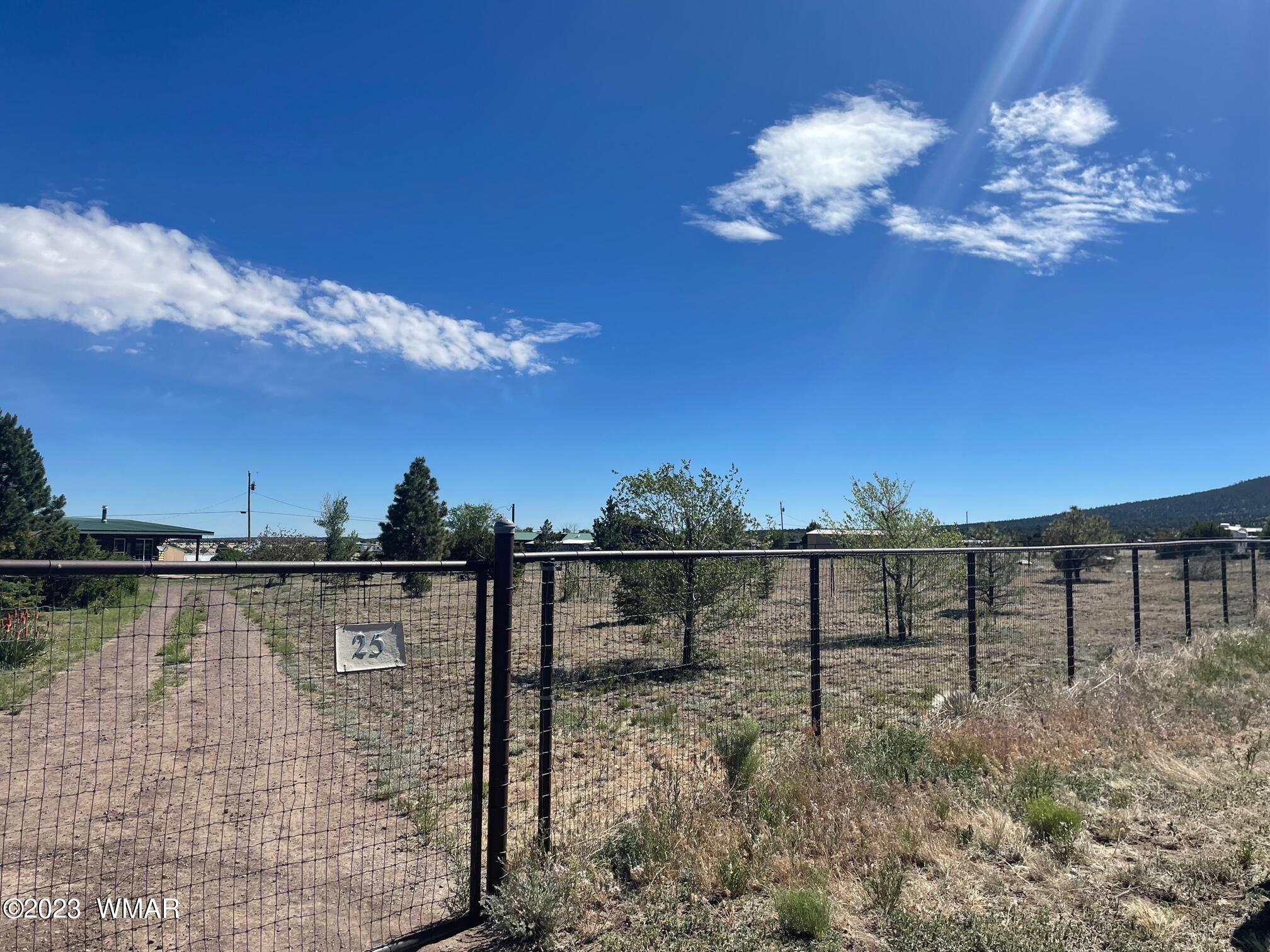 25 County Road Nutrioso, AZ 85932 - Photo 2 of 42
