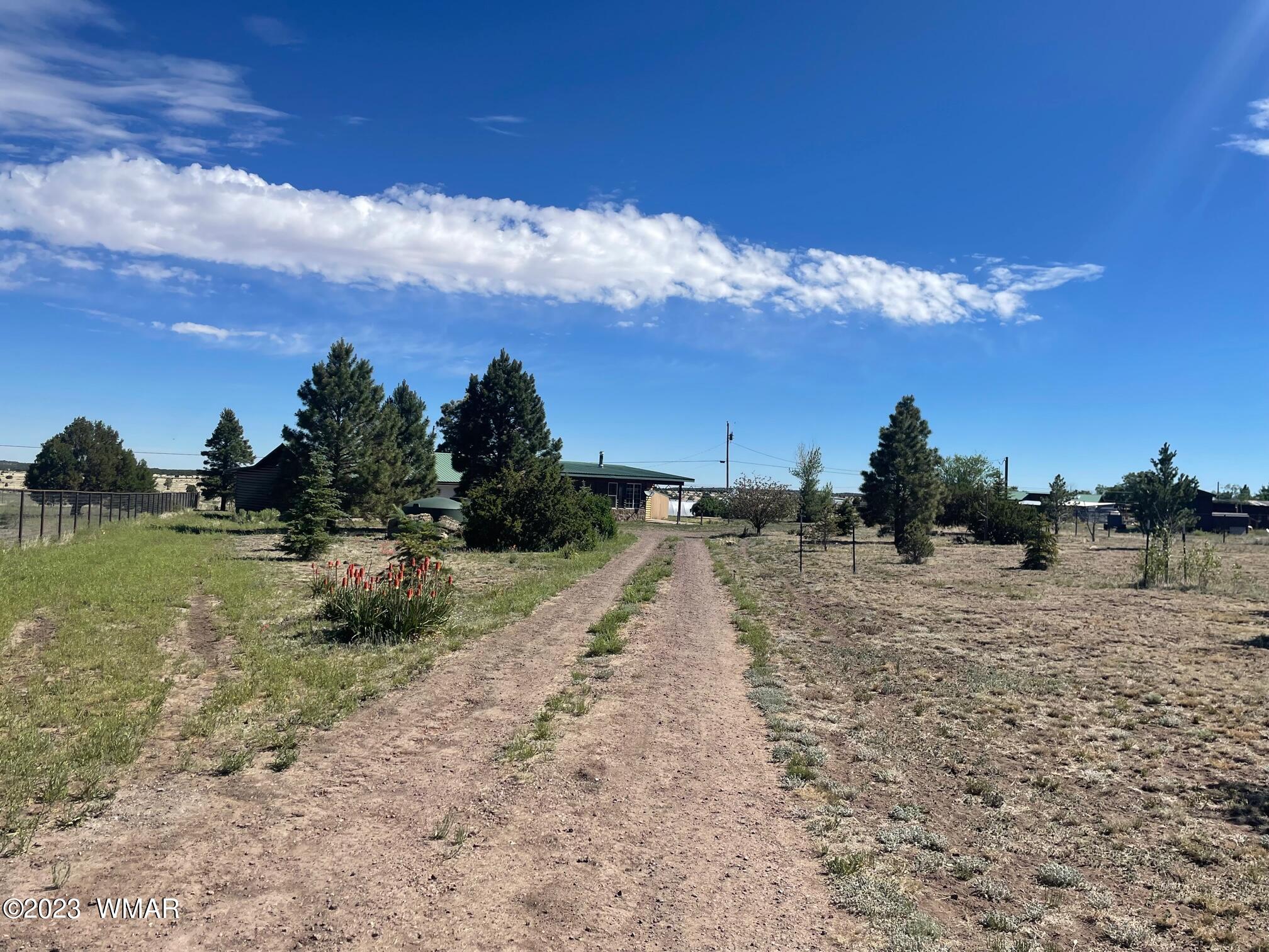 25 County Road Nutrioso, AZ 85932 - Photo 3 of 42