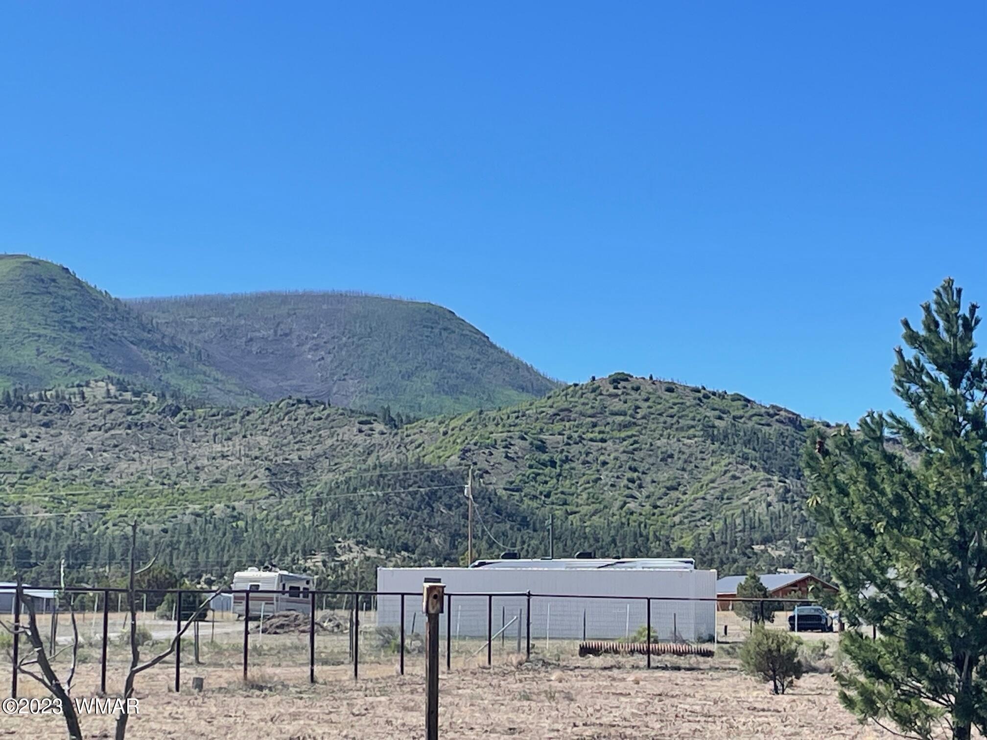 25 County Road Nutrioso, AZ 85932 - Photo 4 of 42