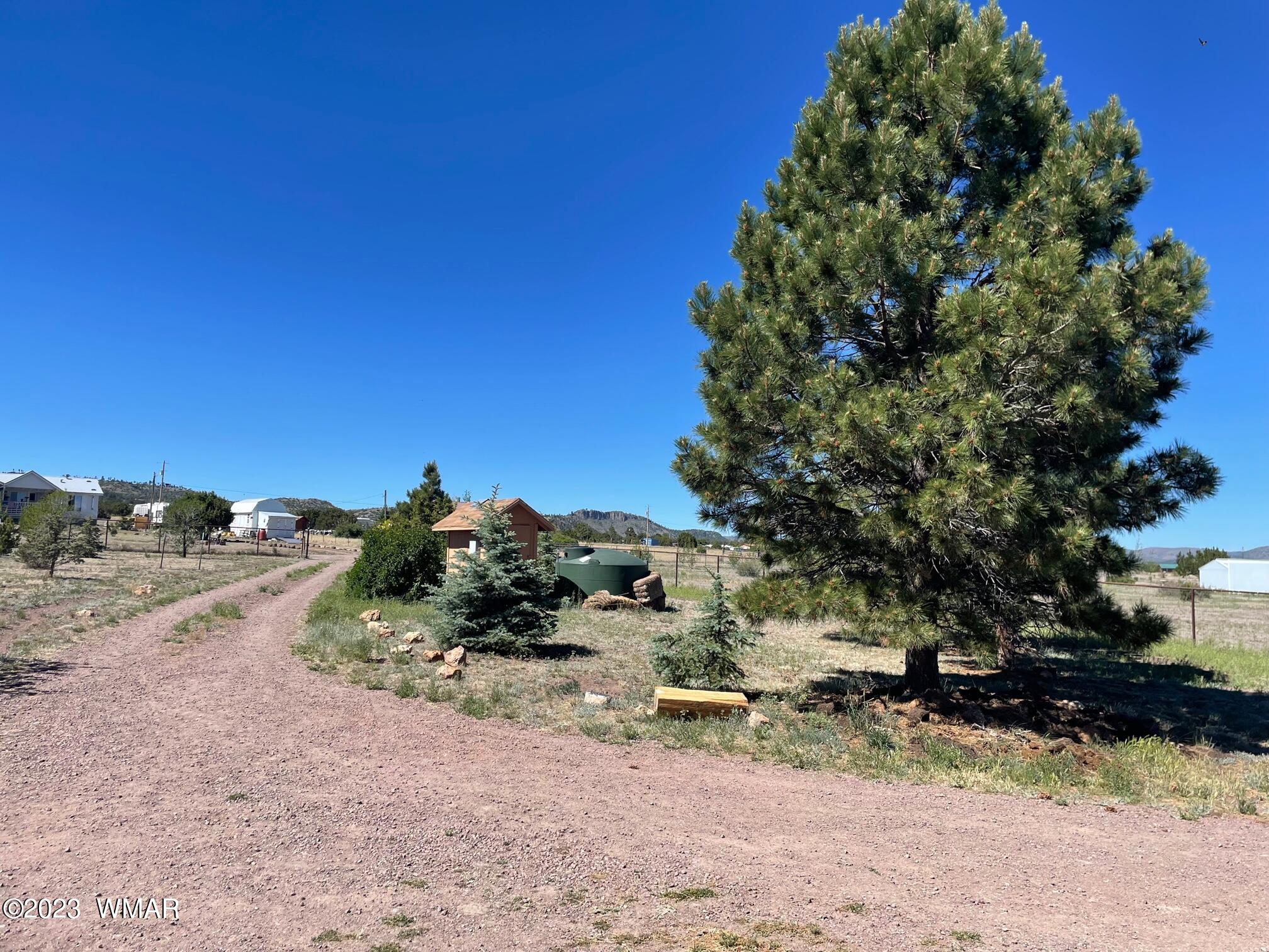 25 County Road Nutrioso, AZ 85932 - Photo 42 of 42