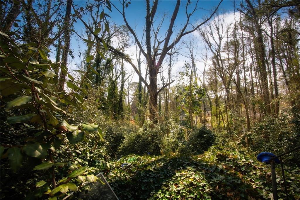 731 Bolton Road Northwest Atlanta, GA 30331 - Photo 10 of 20 a view of a yard with a tree