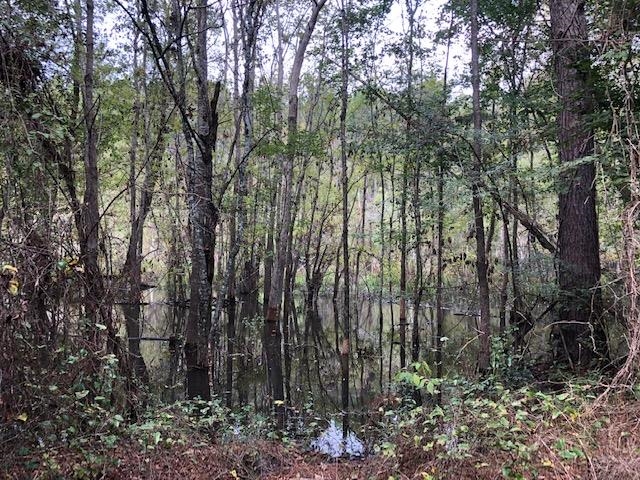 0 Barlow Road Cochran, GA 31014 - Photo 7 of 21