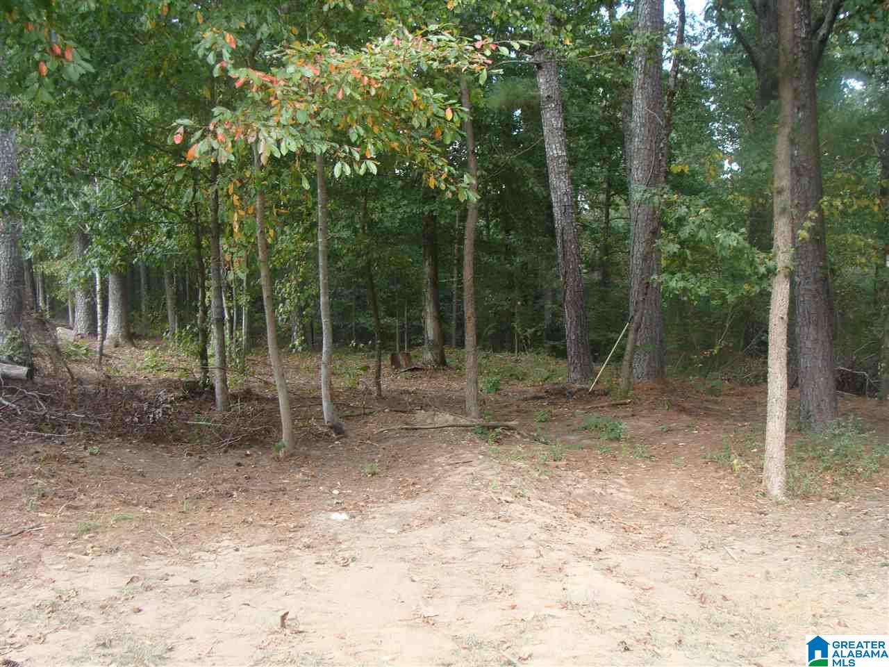 9385 Miller Road, Unit 1 Warrior, AL 35180 - Photo 5 of 5