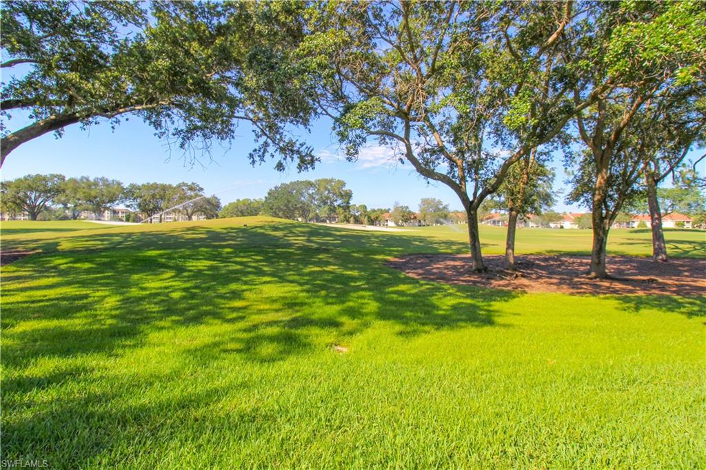 152 Napa Ridge Way Naples, FL 34119 - Photo 8 of 50 a view of yard with swimming pool and trees