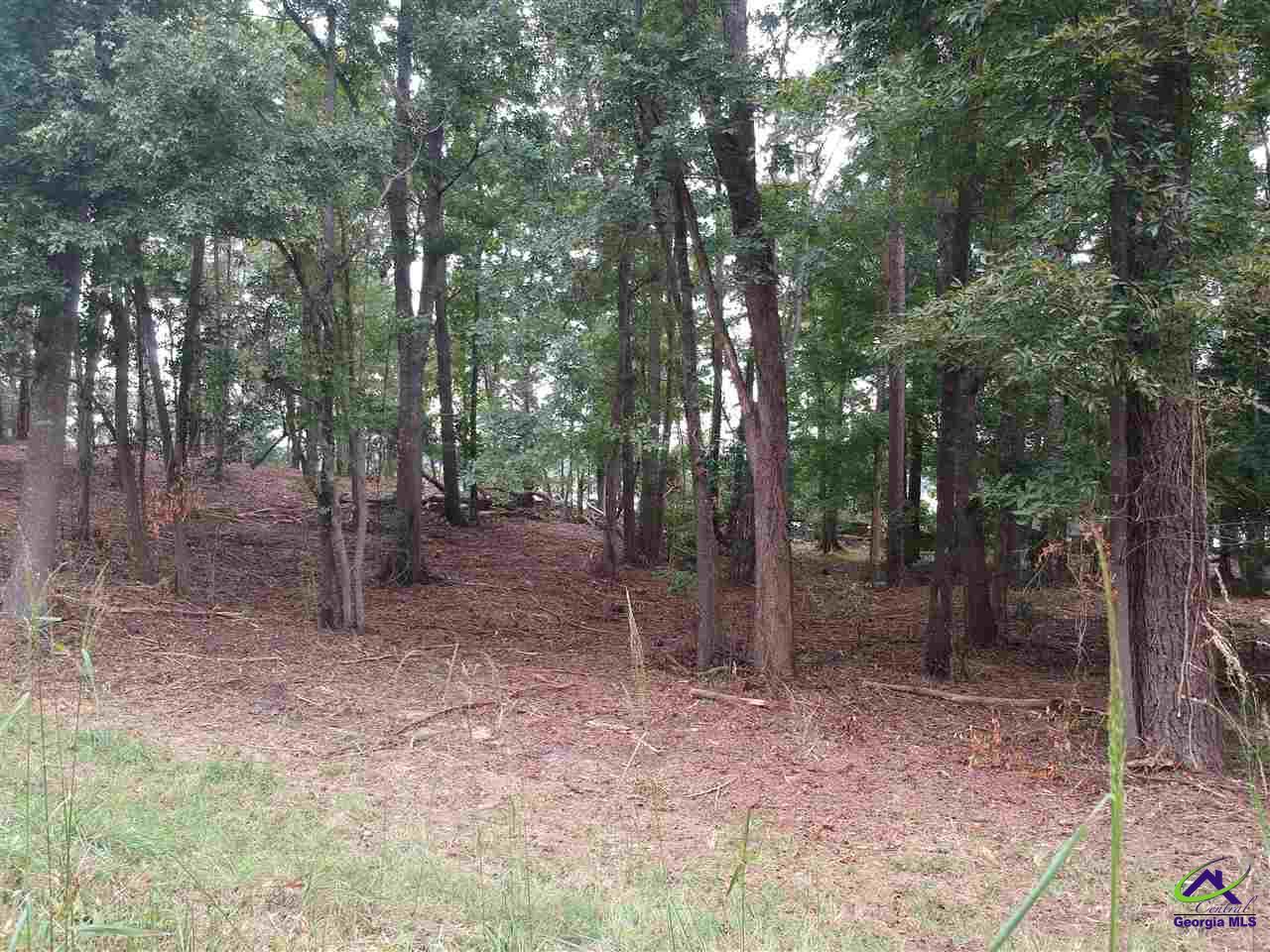 0 Flintside Drive Cobb, GA 31735 - Photo 1 of 1
