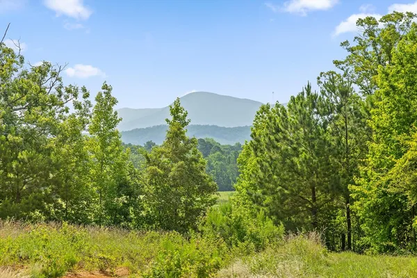 $2,395,000 | 1800 Highway 286, Chatsworth, GA 30705