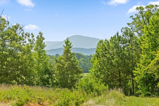 $2,395,000 | 1800 Highway 286, Chatsworth, GA 30705