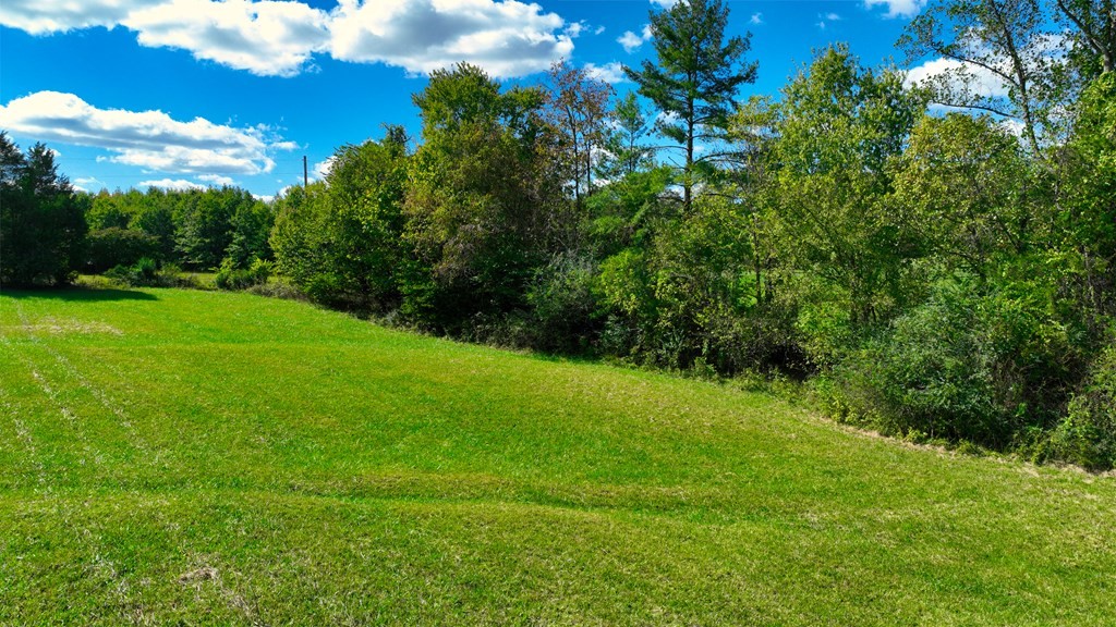 0 Hill Road Cookeville, TN 38501 - Photo 9 of 16 Gallery Image 9