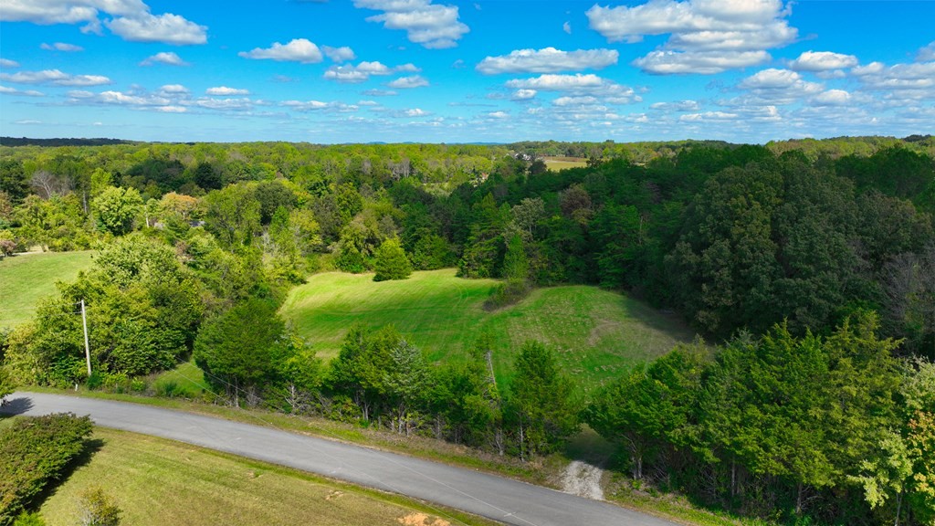 0 Hill Road Cookeville, TN 38501 - Photo 10 of 16 Gallery Image 10
