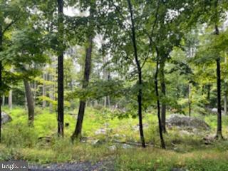 a backyard of a house with lots of plants and trees