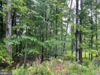 115 Falcon Crest Greentown, PA 18426 - Photo 6 of 7 a view of forest