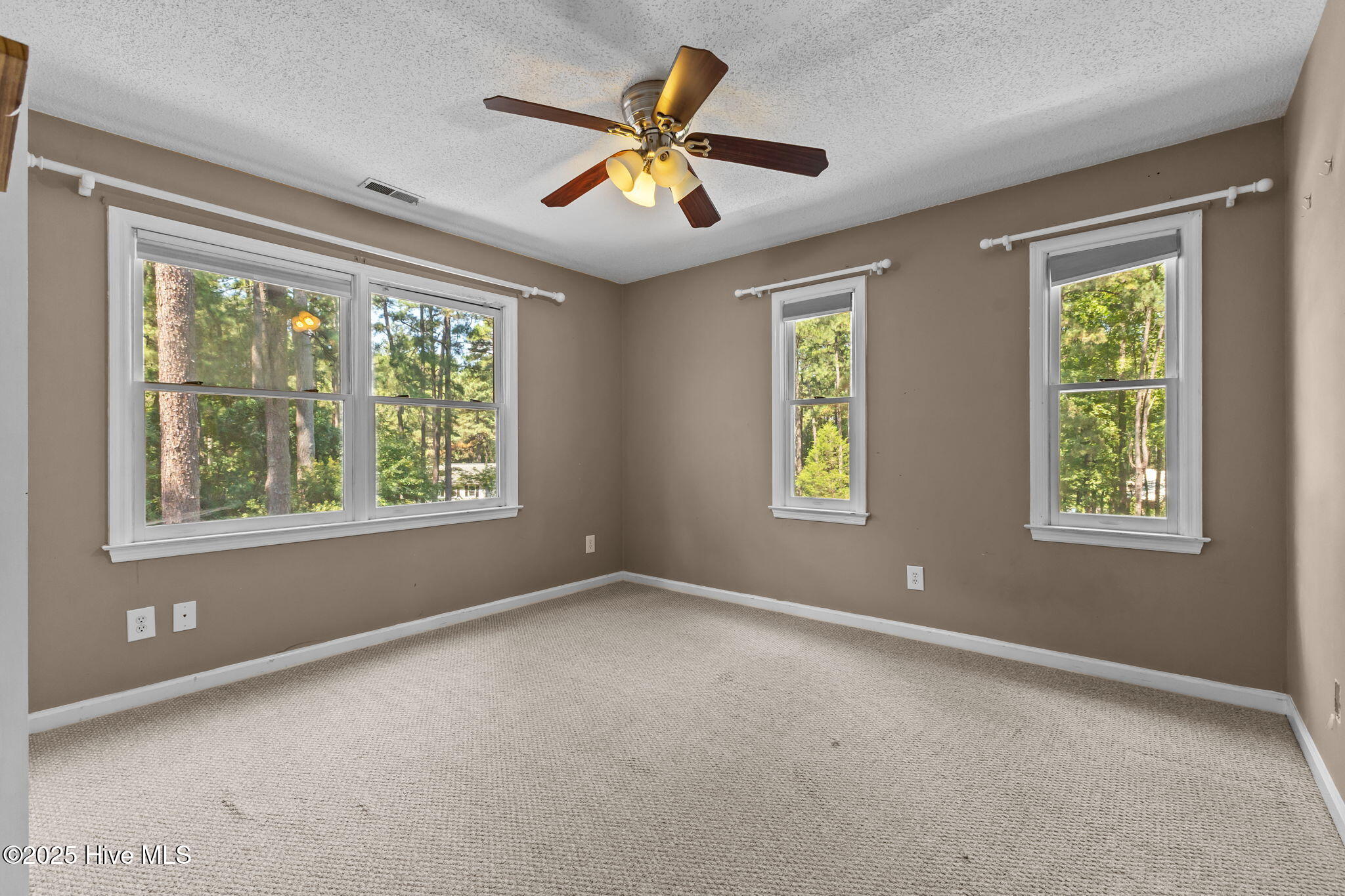 225 Mitchell Road Southern Pines, NC 28387 - Photo 35 of 44 31-web-or-mls-AZ3A7691