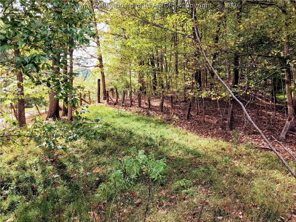 1774 Charleston Road Point Pleasant, WV 25550 - Photo 28 of 30 Gallery Image 28