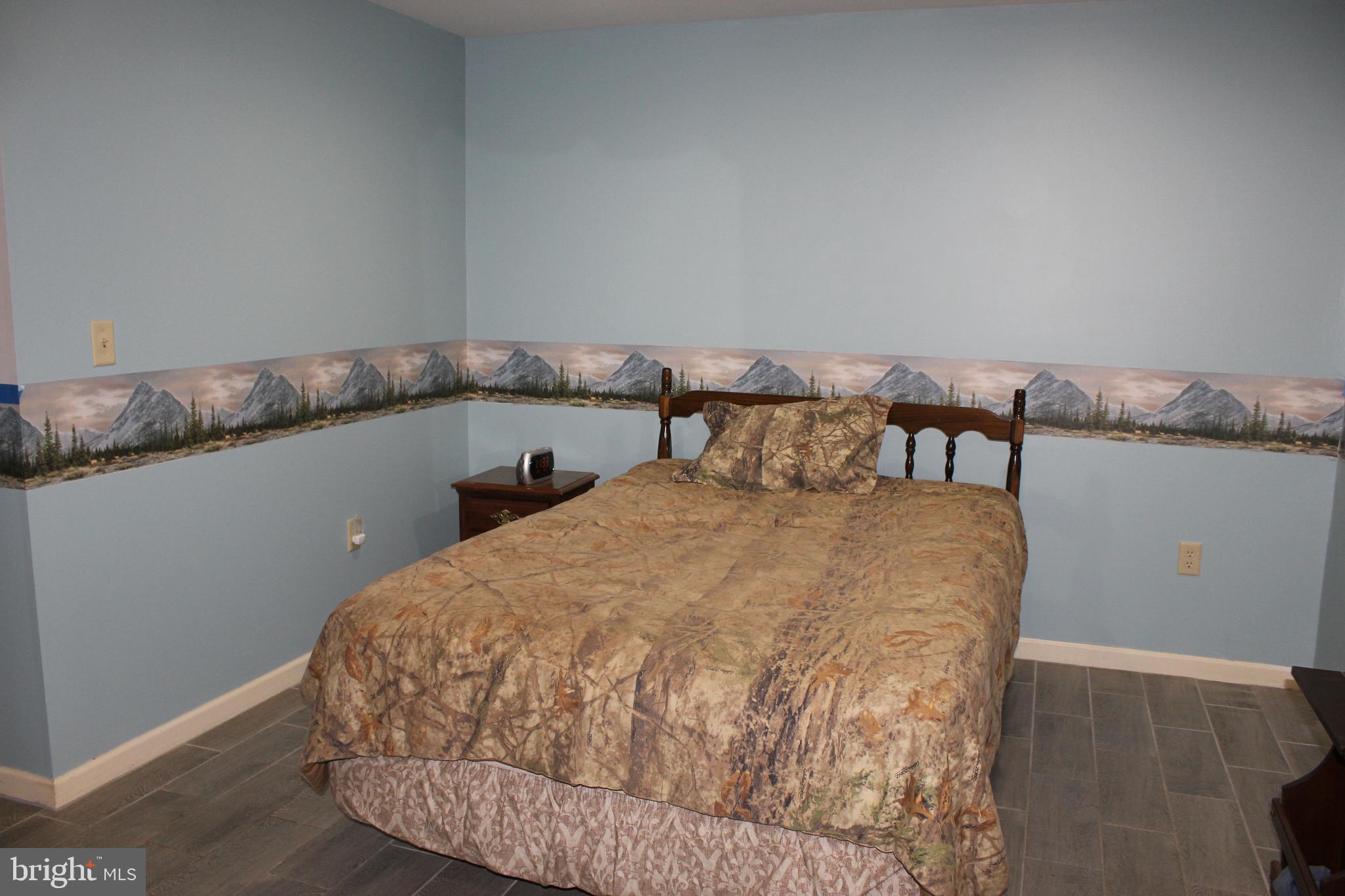 966 Pennsy Road Pequea, PA 17565 - Photo 34 of 44 Lower Level Bed 5