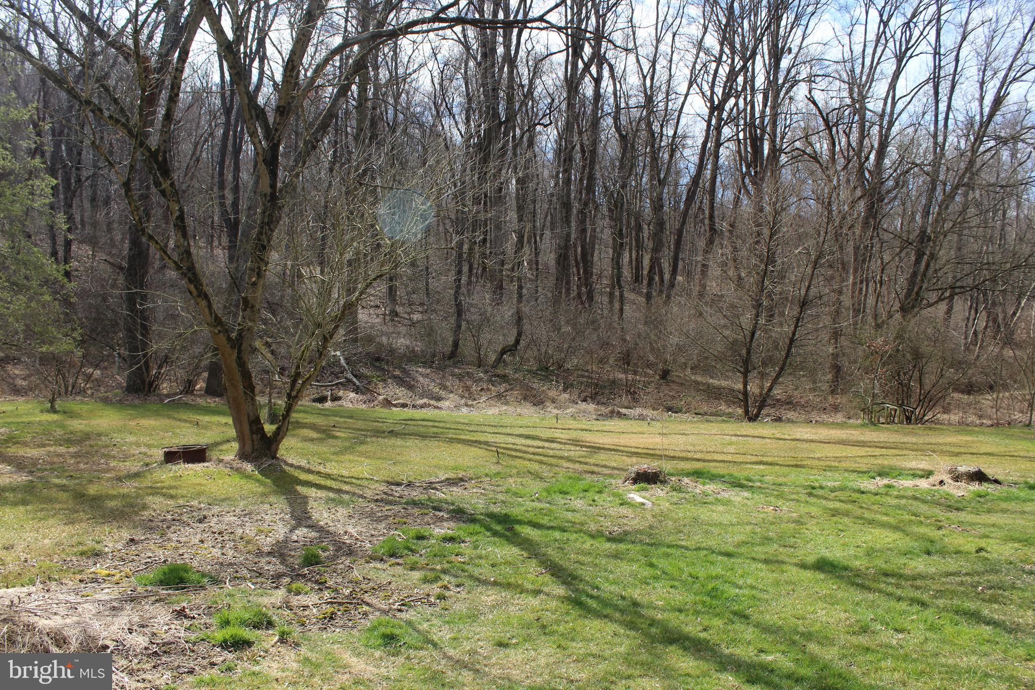 966 Pennsy Road Pequea, PA 17565 - Photo 39 of 44 Yard/Wooded View