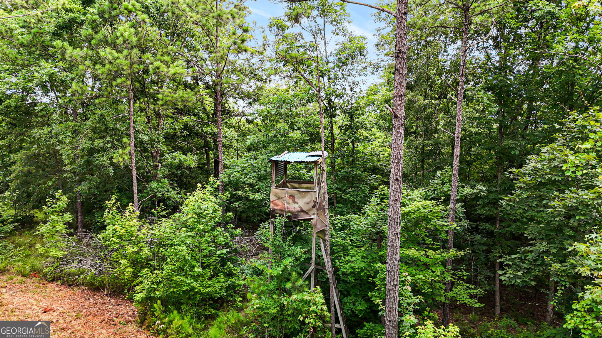 0 Howard Road Roberta, GA 31078 - Photo 12 of 14