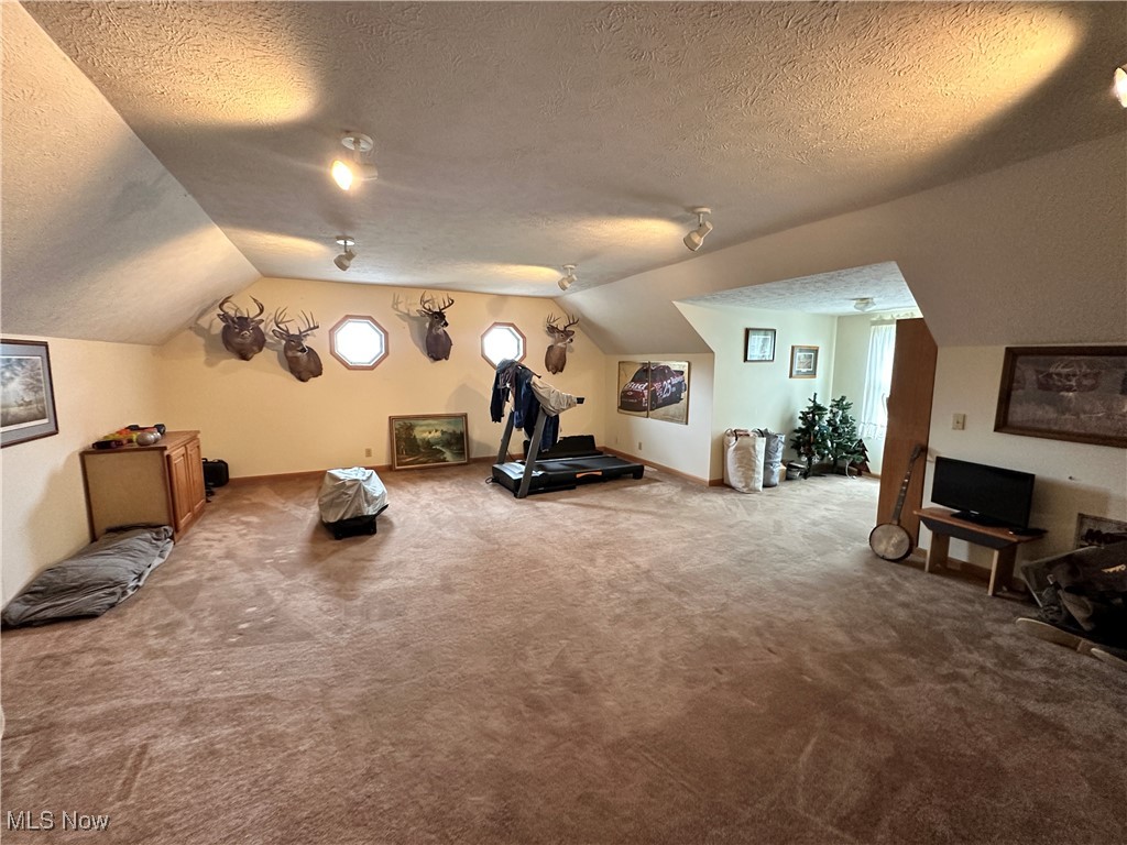 40346 Marietta Road Caldwell, OH 43724 - Photo 28 of 50 Game room/Bonus Room