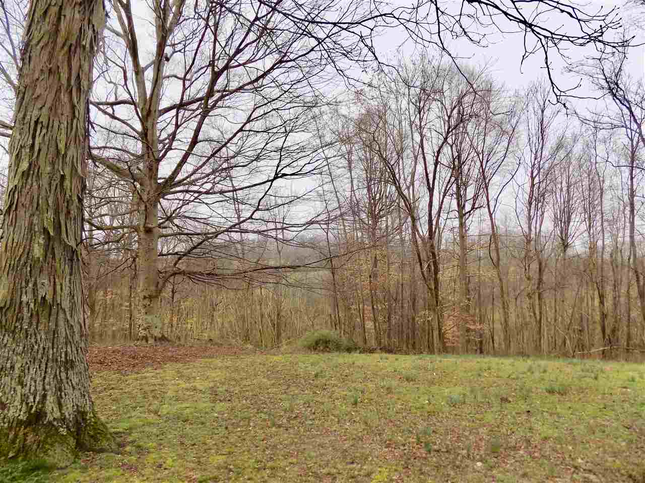 267 Blunt Ford Road Adolphus, KY 42120 - Photo 13 of 18 Gallery Image 13