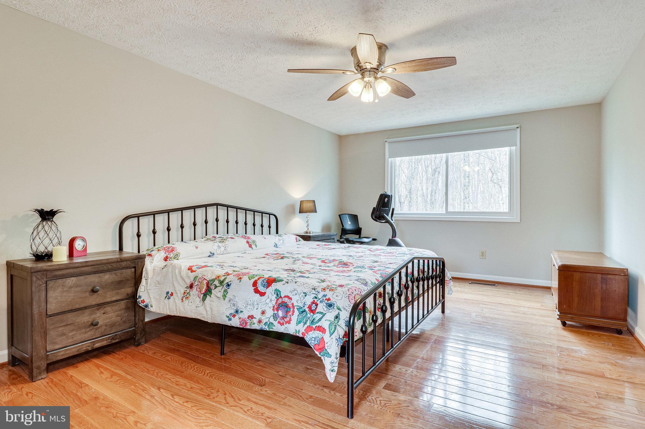 8492 Magic Tree Court Springfield, VA 22153 - Photo 29 of 65 Gallery Image 29