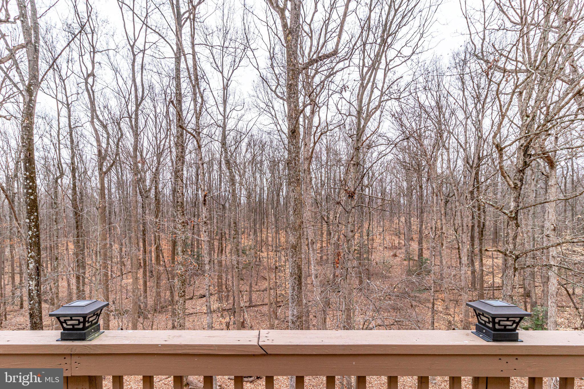8492 Magic Tree Court Springfield, VA 22153 - Photo 63 of 65 Gallery Image 63