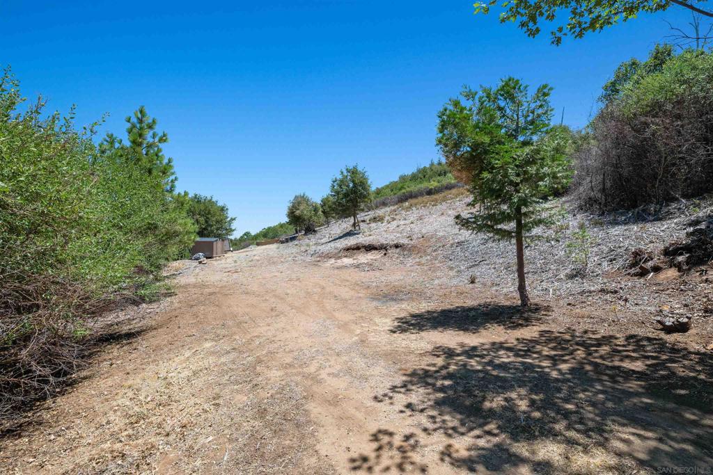 17150 Iron Springs Road Julian, CA 92036 - Photo 4 of 45