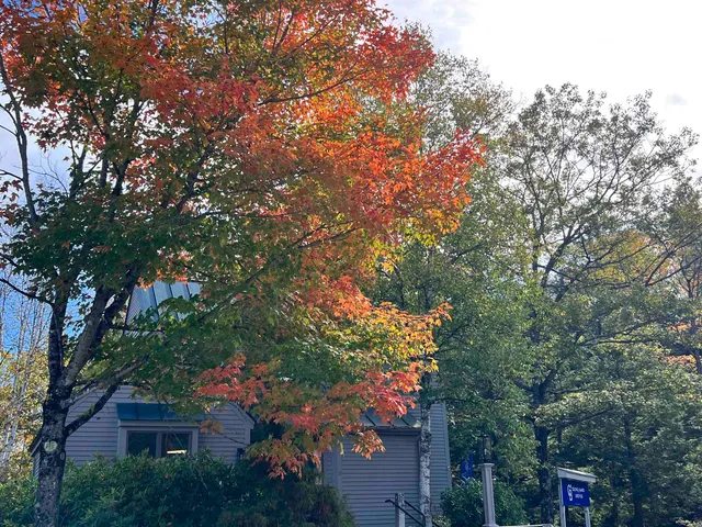 $1,550 | 18 B Pioneer Point, Grantham, NH 03753