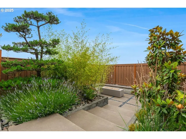 a view of a backyard with plants and a bench