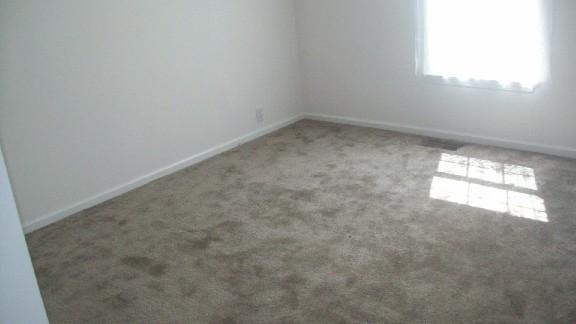 6797 Owens Chapel Road Springfield, TN 37172 - Photo 8 of 8