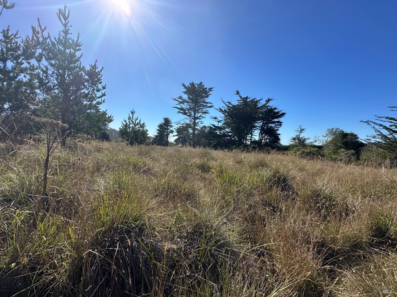 135 Shepherds Close The Sea Ranch, CA 95497 - Photo 22 of 34