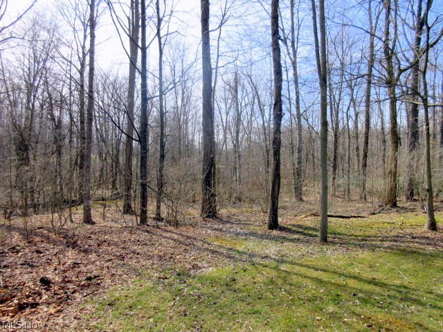 19558 Howe Road Strongsville, OH 44136 - Photo 12 of 30
