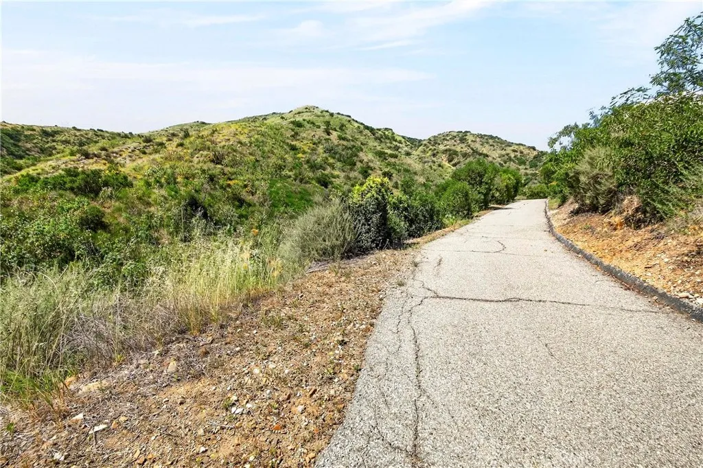 0 Opal Canyon Road Duarte, CA 91010 - Photo 11 of 15 a view of a large tree