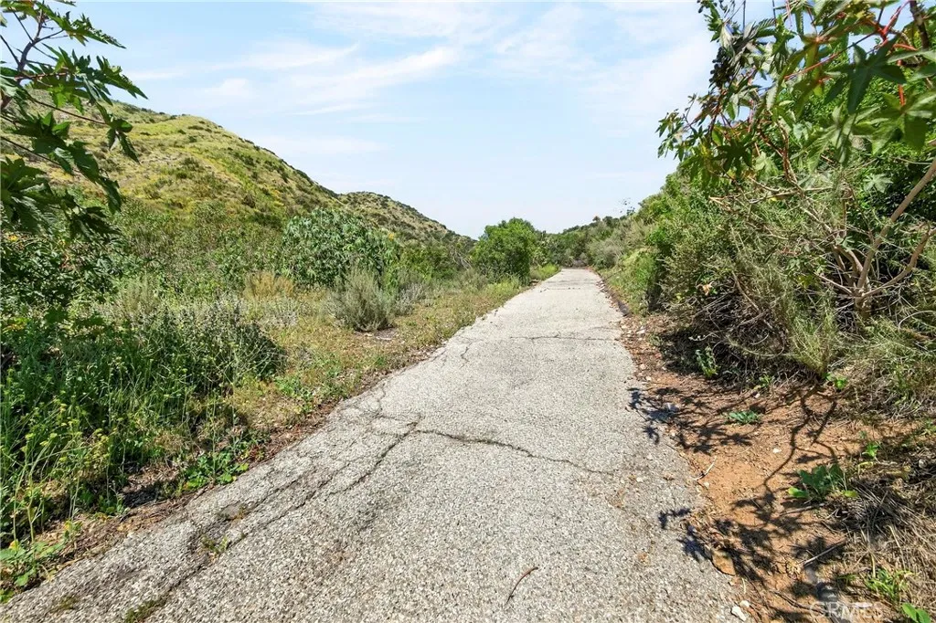 0 Opal Canyon Road Duarte, CA 91010 - Photo 9 of 15 a view of a yard with plants
