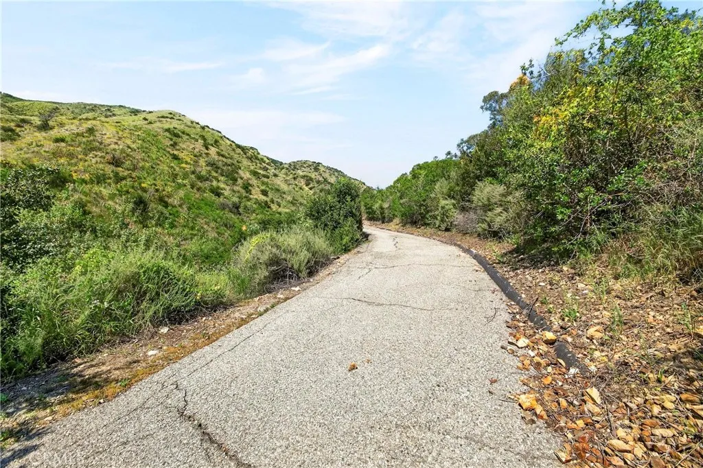 0 Opal Canyon Road Duarte, CA 91010 - Photo 10 of 15 a view of a dry yard with trees