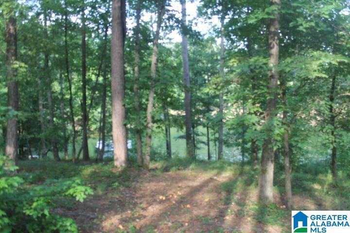 0 Red Cedar Drive, Unit 121 Wedowee, AL 36278 - Photo 19 of 21