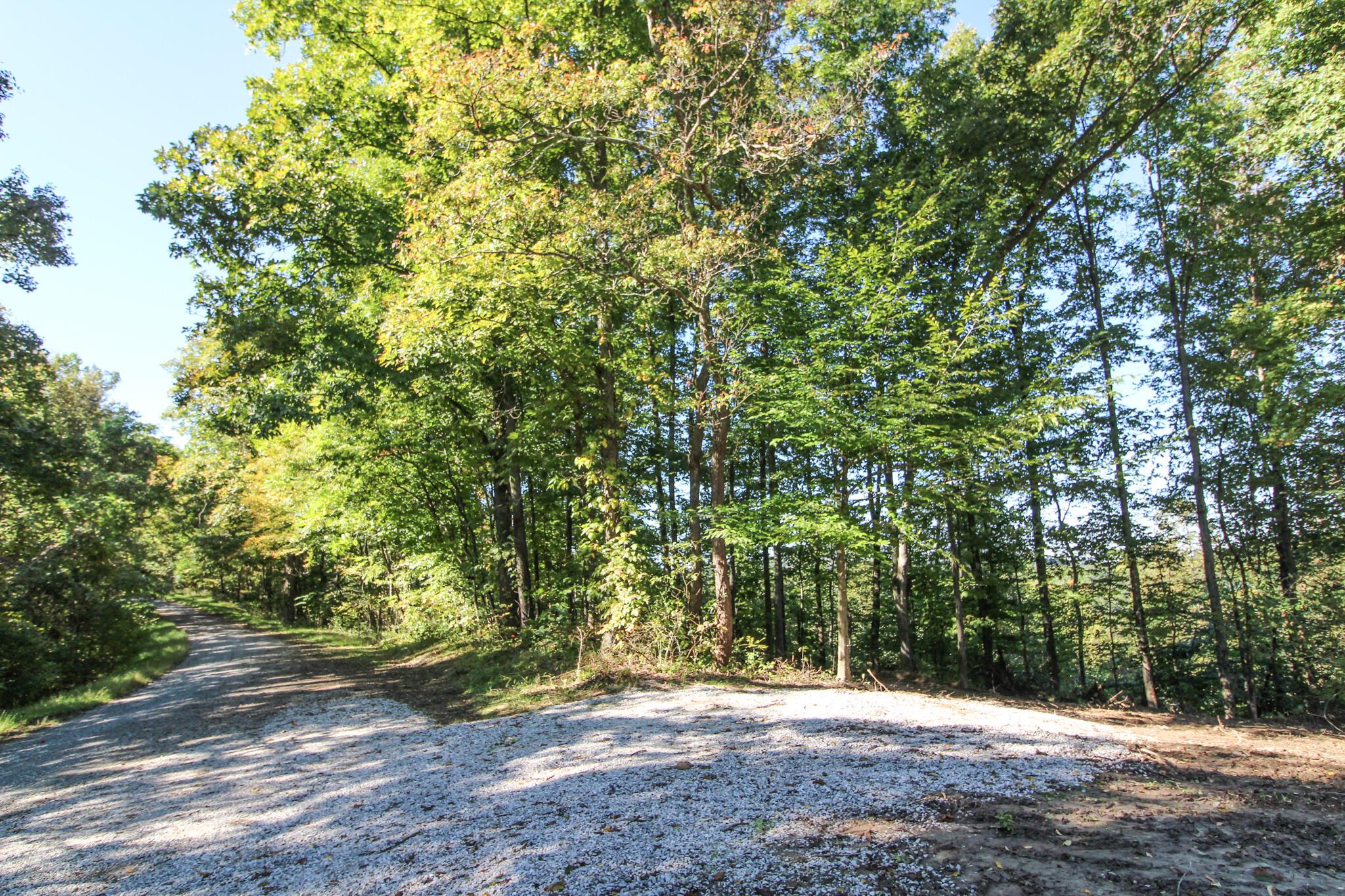 0 Mud Run Road Summerfield, OH 43788 - Photo 22 of 51 IMG_5448