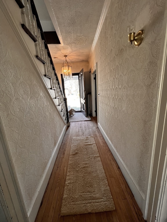 186 Buckingham Street Springfield, MA 01109 - Photo 4 of 42