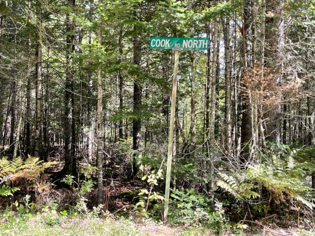 13 North Cook Road Perry, ME 04667 - Photo 89 of 104 IMG_6851