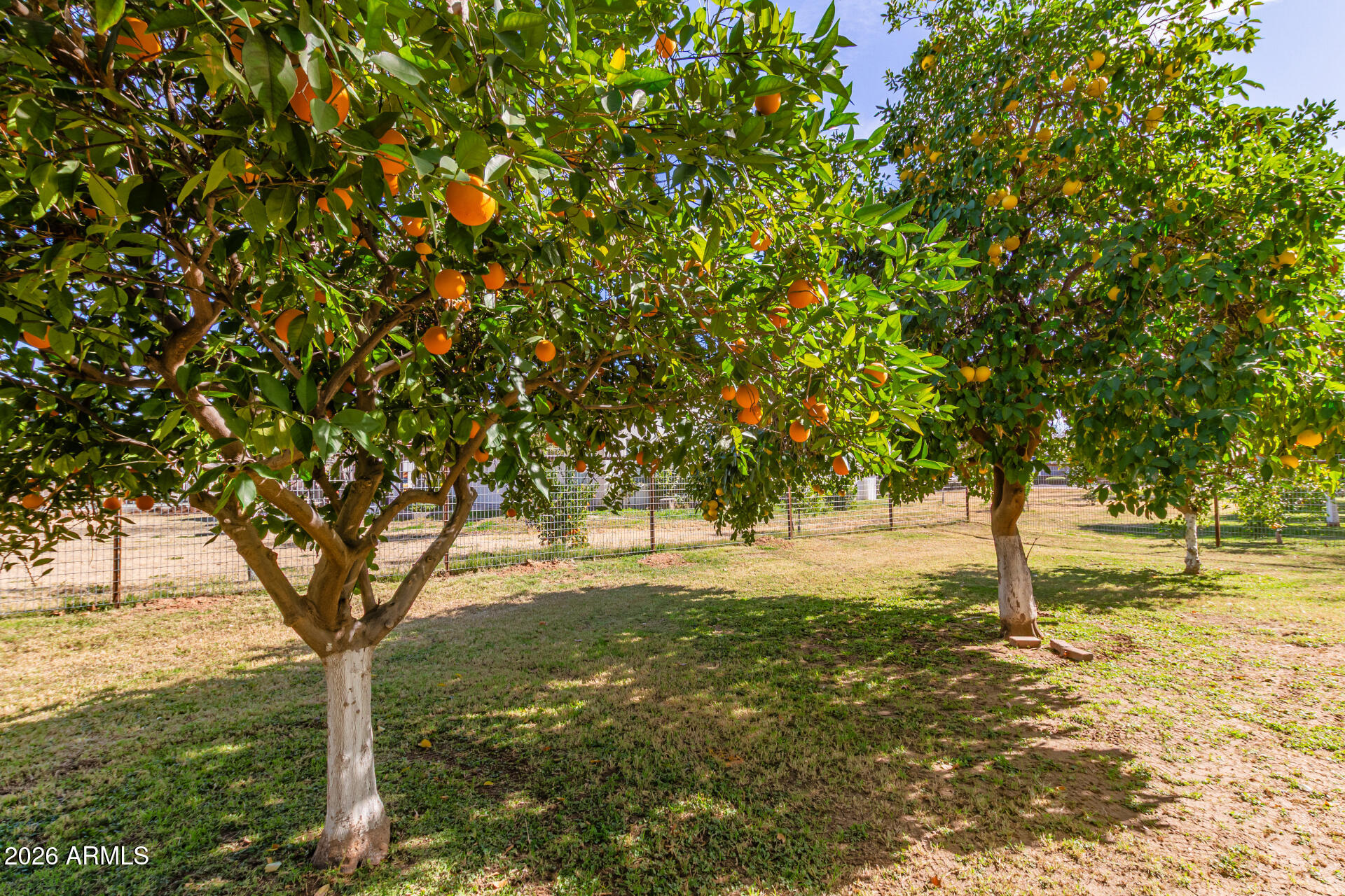 2912 East Houston Avenue Gilbert, AZ 85234 - Photo 48 of 52 46-Houston