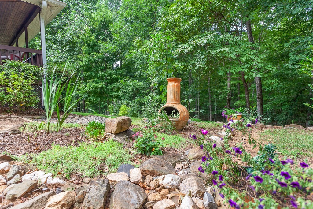 6670 Highway 294 Murphy, NC 28906 - Photo 69 of 93