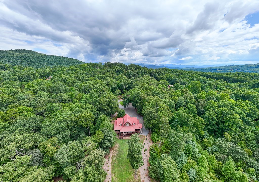 6670 Highway 294 Murphy, NC 28906 - Photo 71 of 93