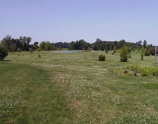 17027 State Rte 101 Grabill, IN 46741 - Photo 2 of 3