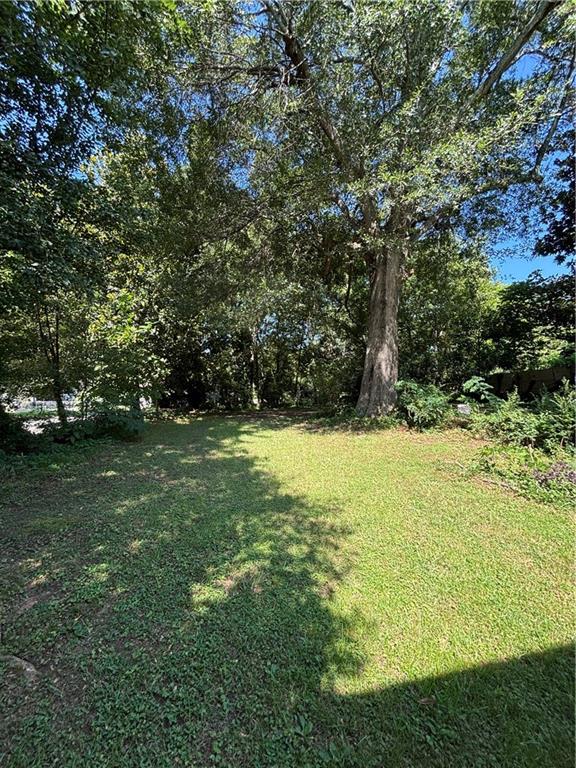 1090 Forrest Avenue Stone Mountain, GA 30083 - Photo 12 of 13 a view of outdoor space and yard