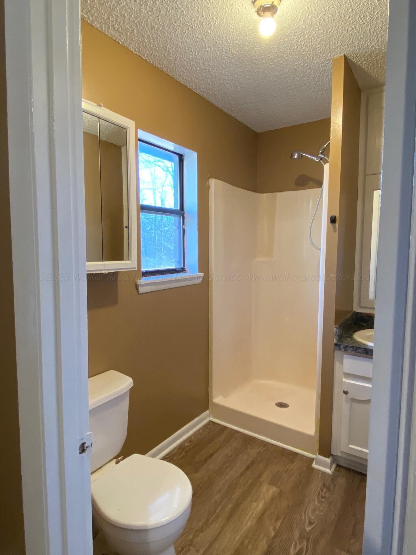 138 Morgan Road Quinton, AL 35130 - Photo 24 of 39 master bathroom