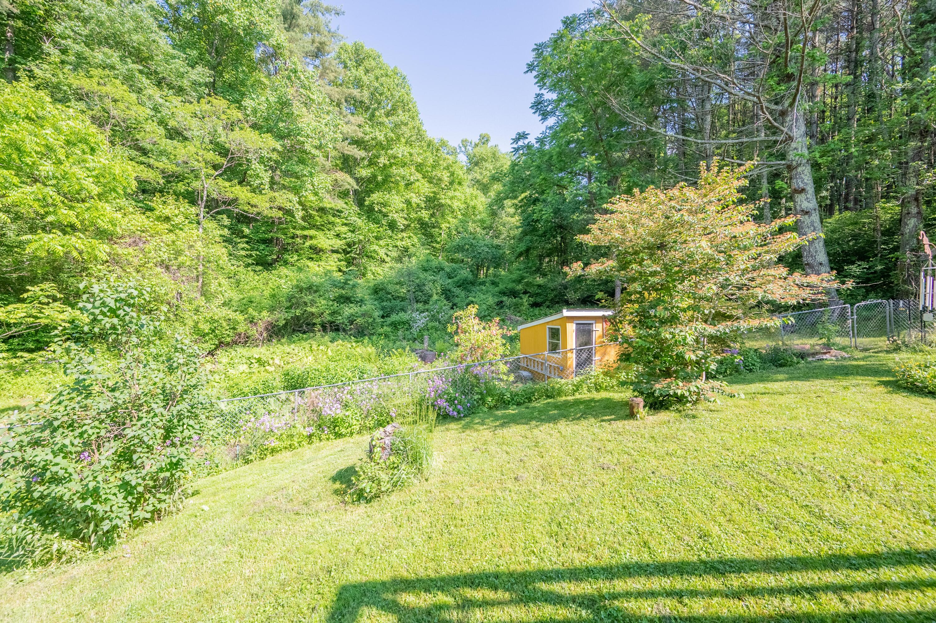 1341 Conner Grove Road Southwest Willis, VA 24380 - Photo 65 of 104 a backyard of a house with lots of green space and plants