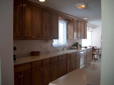 20869 Decatur Street Cassopolis, MI 49031 - Photo 5 of 16 Additional Photo
