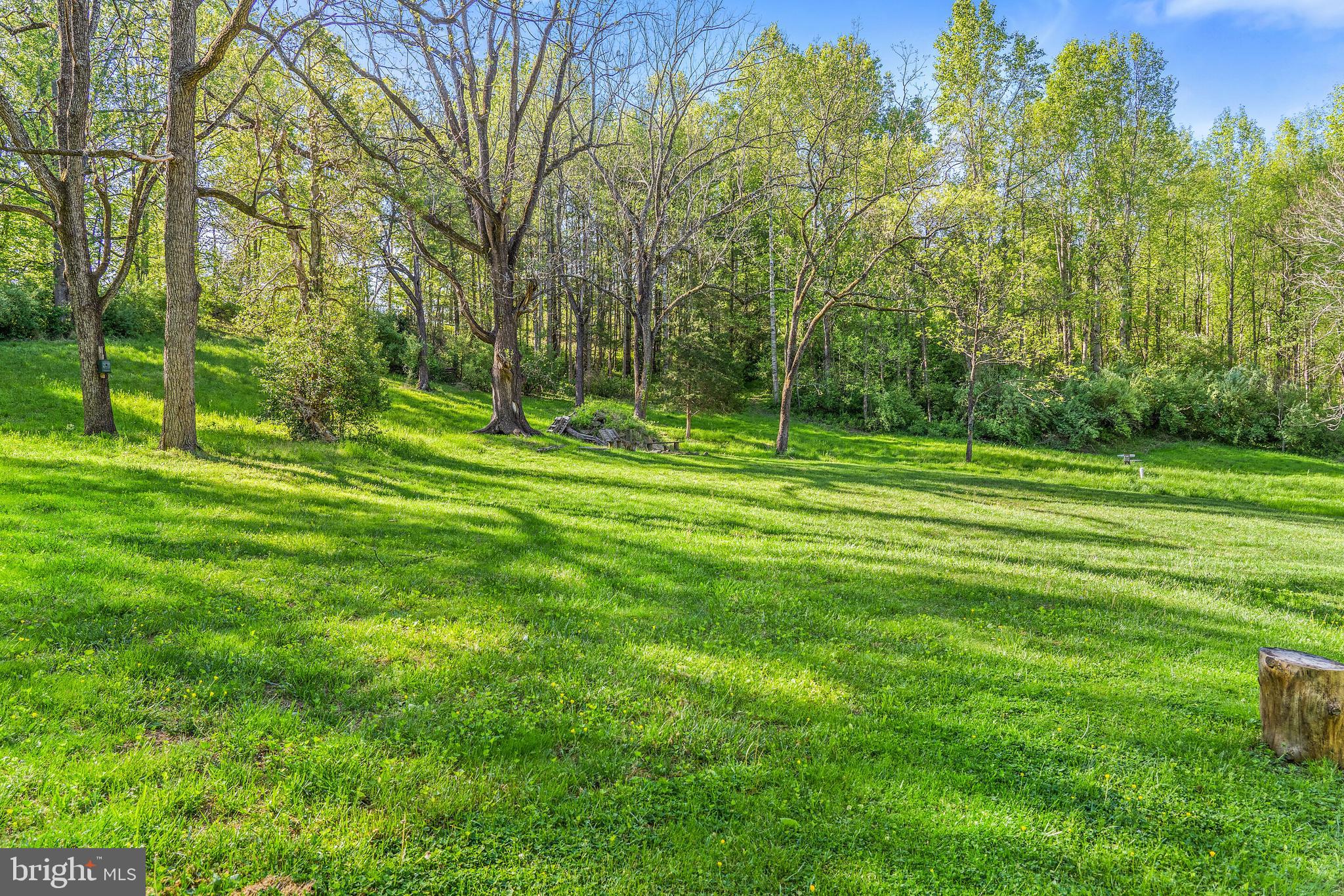 7011 Wilson Road Marshall, VA 20115 - Photo 5 of 21