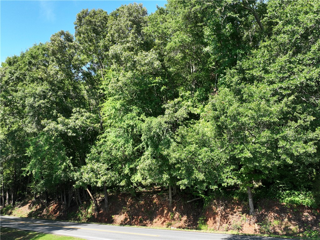 553 Issaqueena Trail Clemson, SC 29631 - Photo 2 of 6