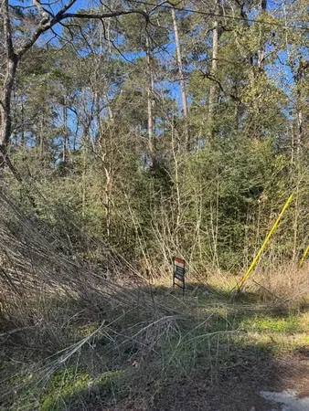 a view of a yard with a tree